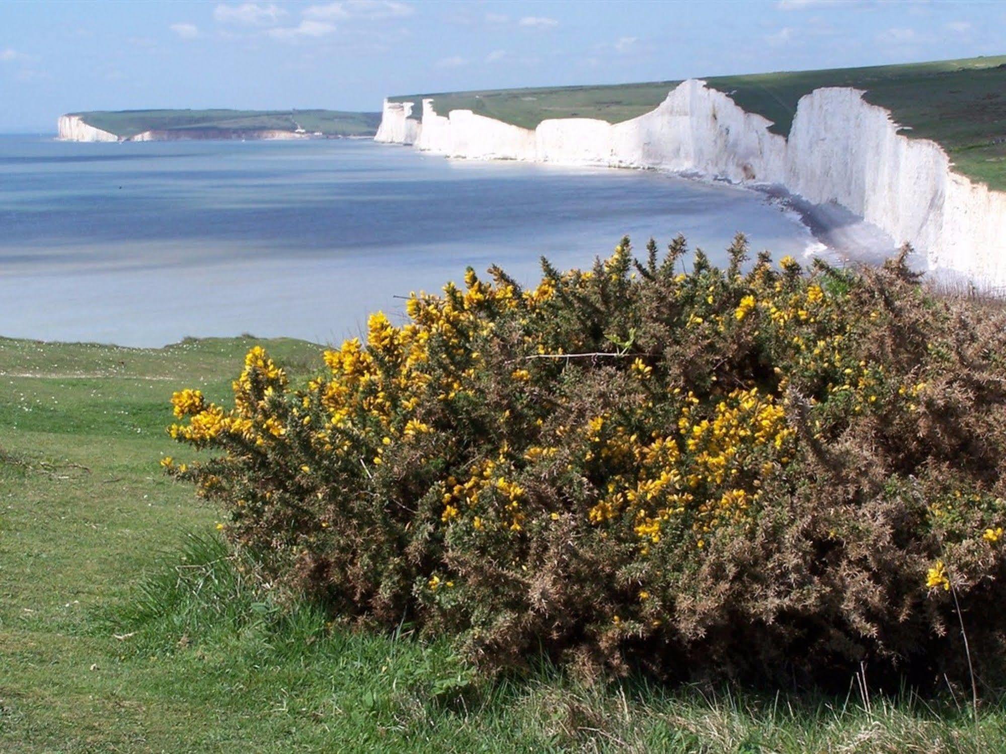 Park View Hotel Eastbourne Bagian luar foto